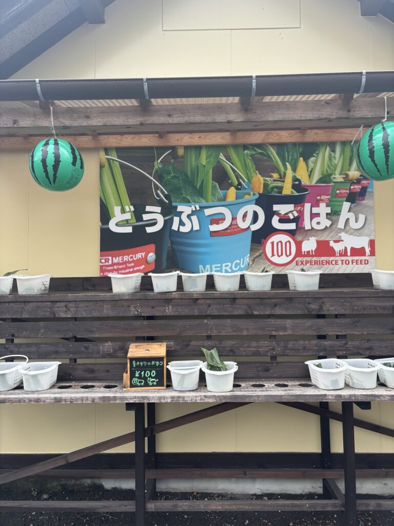 酪農王国オラッチェ内の餌やり体験購入場所